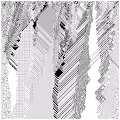 cellular automata 13