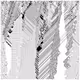 cellular automata 13