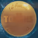 The Tokens Token