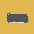 Cat fat fat