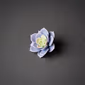 Succulent World Main Collection