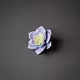 Succulent World Main Collection