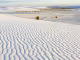 whitesandsticket