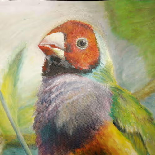 Oil Paintings by Tessie
