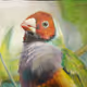 Oil Paintings by Tessie