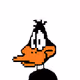 DoodleDucky