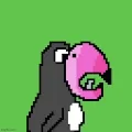 Toucan Cartel