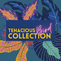 Tenacious Bird Collection