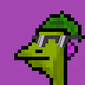 Lizard Punks