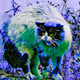 Creative Cats