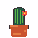 cactus land