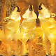 Gold x Animals