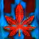 Cannabis Culture Creations