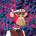 Bored Trippy Apes Animated Club
