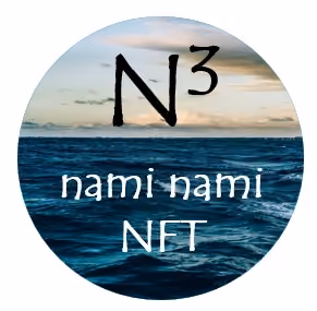 N3 - nami.nami Edition