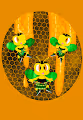 The Odd Bees