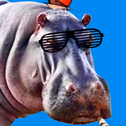 Hipopotam's mind