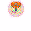 ParadoxicalStereos