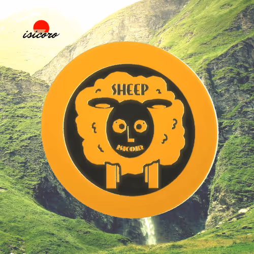 "FIRST TERM" ISICOIN COLLECTION