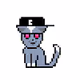 babycatpunk