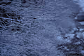 Night of MoonFall