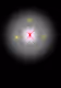 Infine-