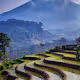 Indonesia Rice Terrace