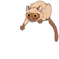 Kitty grabbing a crypto coin