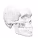 Skullgame