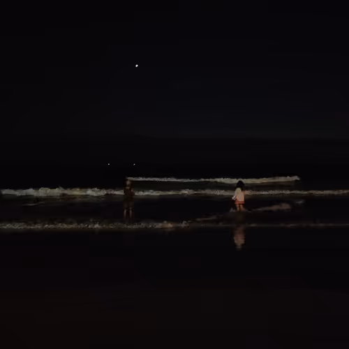 The Dark Love