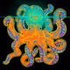 Third Eye Octopi