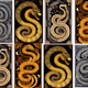 Art x Snake