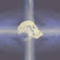 Skulls of Truth Special Edition