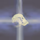 Skulls of Truth Special Edition