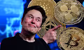 ElonMuskpredictions
