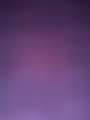 Crypto Crawfish