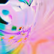CyberArt Poly
