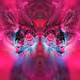 Fractal Faces IV (PoS)