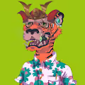 Tiger Delux