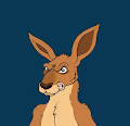 KoolKangaroos
