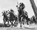Race horses paintings