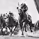 Race horses paintings