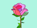 Rose 2