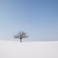 Early Landscapes