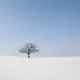 Early Landscapes