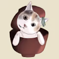 NYANKOSOBA