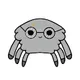 Crypto_Spiders