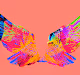 CRYPTO WINGZ