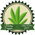 Make Cannabis Great Again