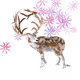 cocohare special thanks to you